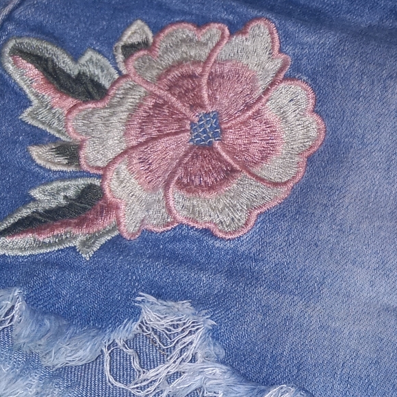 YMI Shorts - Picture 3 of 3